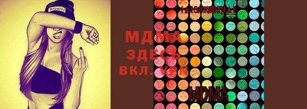 mdpv Горно-Алтайск
