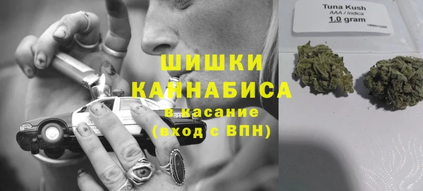 mdpv Горно-Алтайск