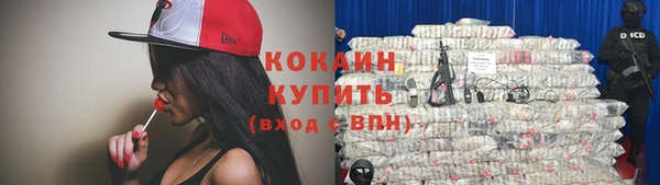 mdpv Горно-Алтайск