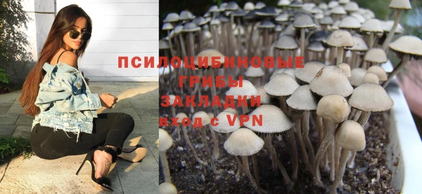первитин Горняк